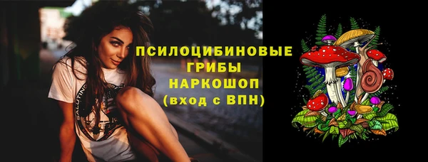 ECSTASY Абаза
