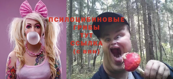 ECSTASY Абаза