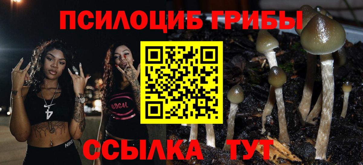 Зеленодольск  Псилоцибиновые грибы мицелий  Вход с VPN 